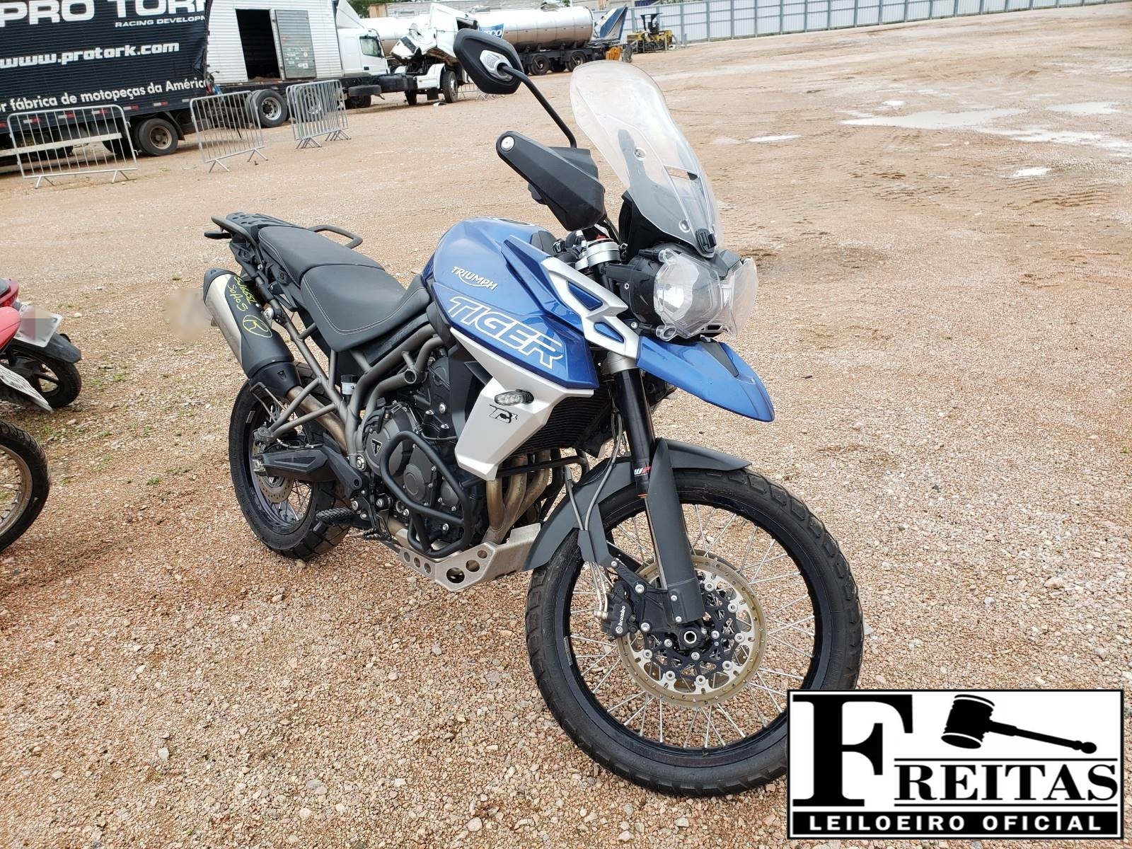 TIGER 800 XCX