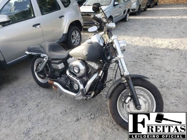 DYNA FXDF - FAT BOB