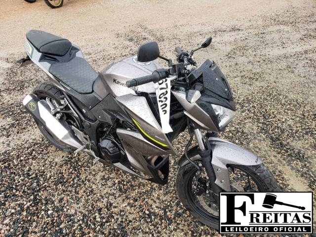 Z300